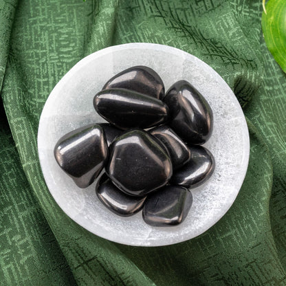 Shungite Tumbled 1lb