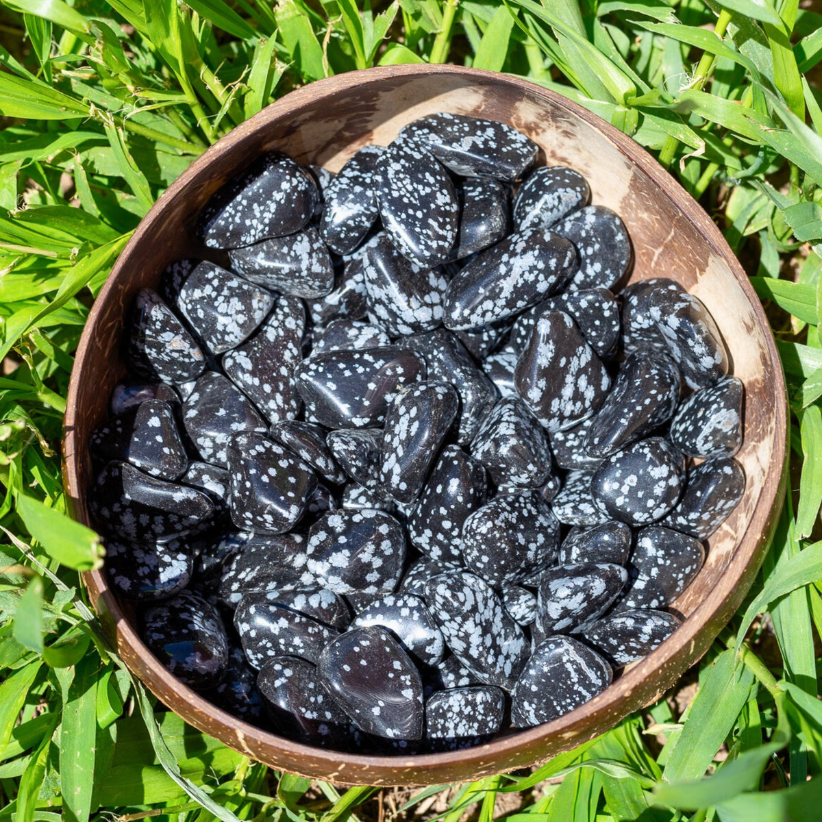 Snowflake Obsidian Tumbled 1lb