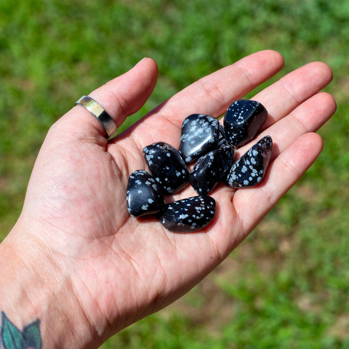 Snowflake Obsidian Tumbled 1lb
