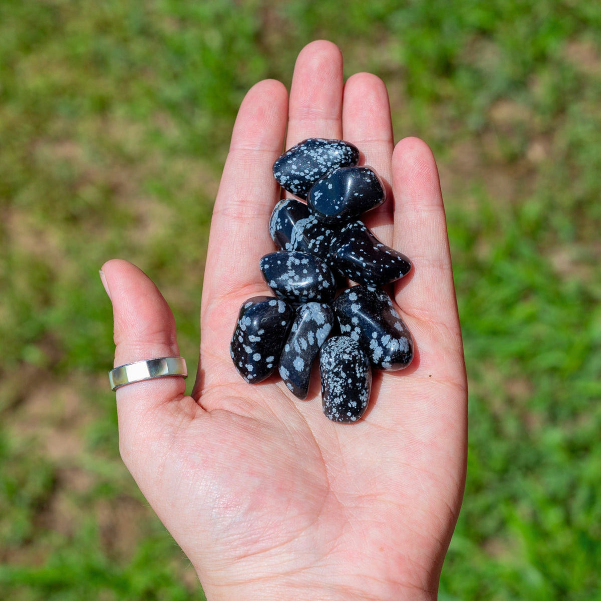 Snowflake Obsidian Tumbled 1lb