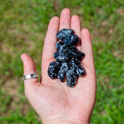 Snowflake Obsidian Tumbled 1lb