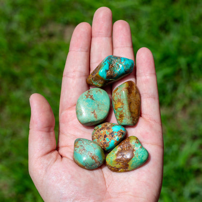 Turquoise Tumbled 1lb