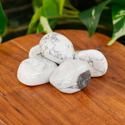 White Howlite Tumbled 1lb