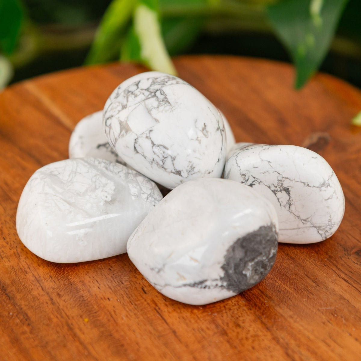 White Howlite Tumbled 1lb