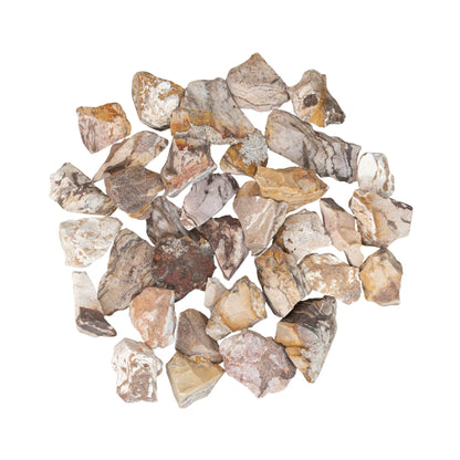 Zebra Jasper Raw 1lb