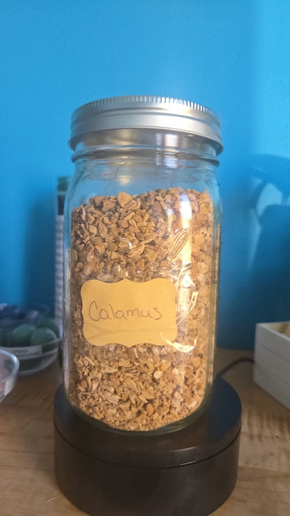 Calamus Herb Root