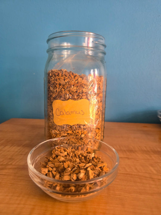 Calamus Herb Root